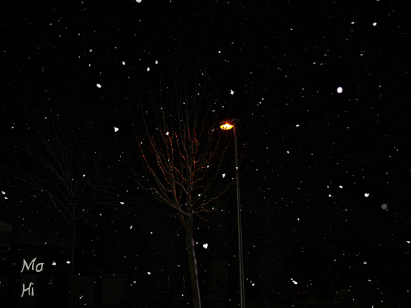 Es schneit  © Martina Hildebrand 2013