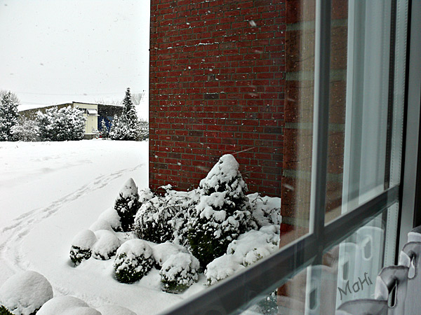 Es schneit © Martina Hildebrand 2013