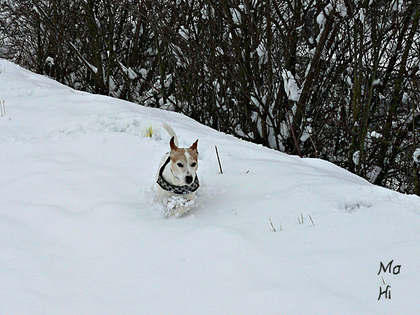 Es schneit © Martina Hildebrand 2013