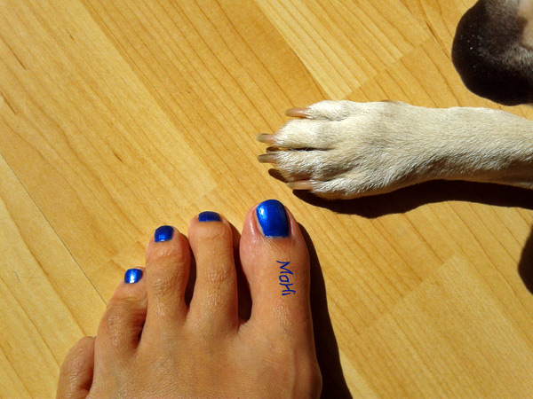 Blauer Nagellack Füße © Martina Hildebrand 2013